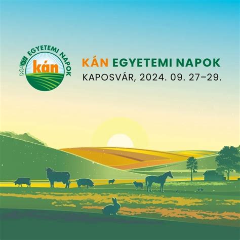 Bajai programok 2024 / 2025. Fesztiválok